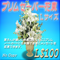 プリムセーバーフラワー