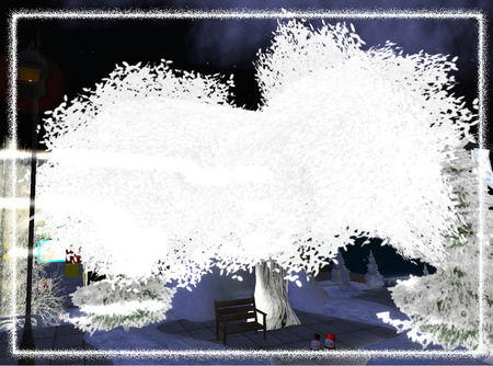 White Tree　冬の白い木
