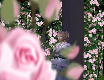 ~おでかけ~ALBERO薔薇祭