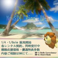 NewSIM「Pino」販売開始