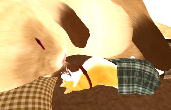 ごろー