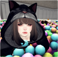 にゃんこ
