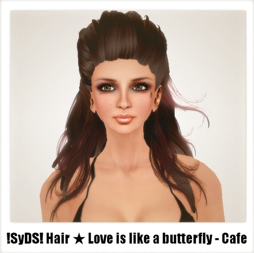 !SyDS!Love is like a butterfly