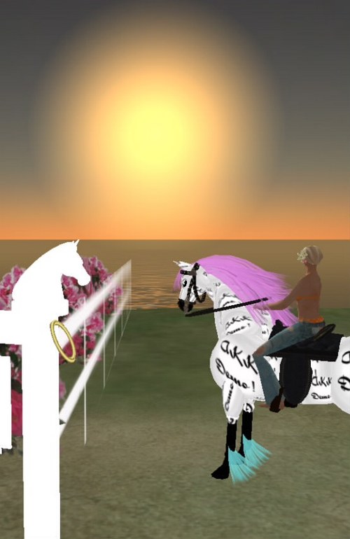 乗馬