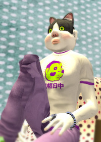 猫田中