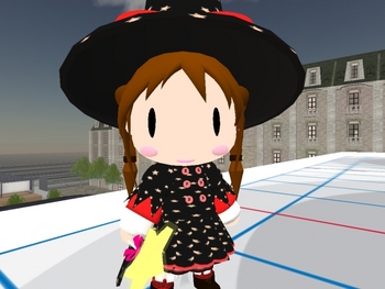 今日はこんな