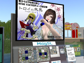 MagSLビジョン設置