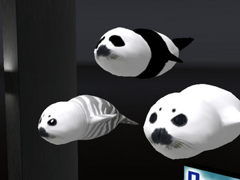 あざらし