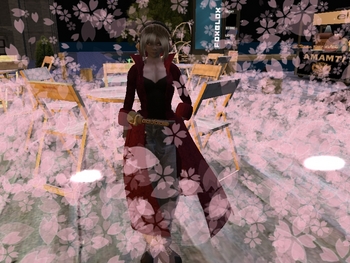桜乱舞