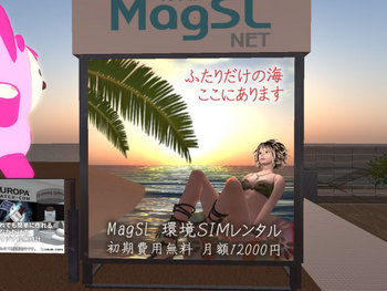 依然続くLightUseSIM人気