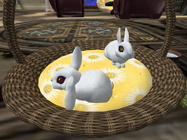 ２匹のウサギ