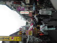 タッティ東京へ行く。