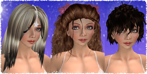 Hair Fair 2009)freegetと寄付つき品購入