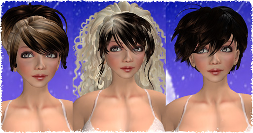 Hair Fair 2009)freegetと寄付つき品購入