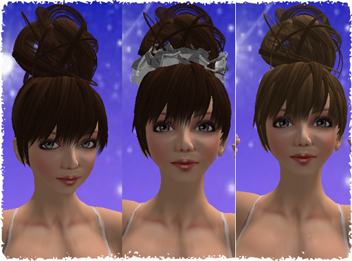 Hair Fair 2009)freegetと寄付つき品購入