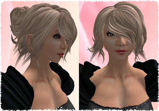 Hair Fair 2009)freegetと寄付つき品購入