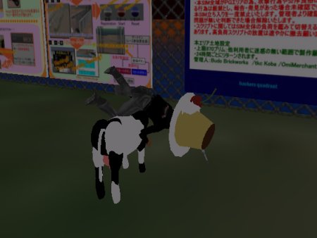 モトクロス