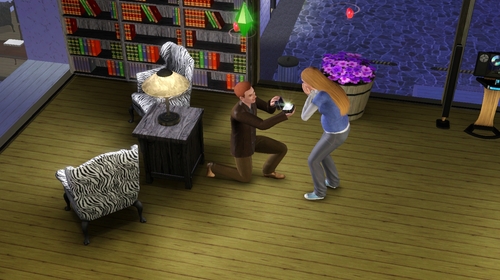 The Sims 3の人生が波乱万丈だった件。