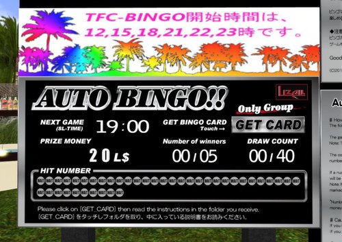 BINGOキャンプと少数派クイズやってます♪