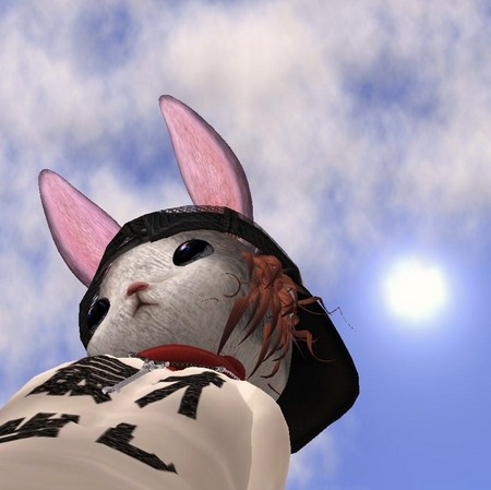 青空うさぎ♪