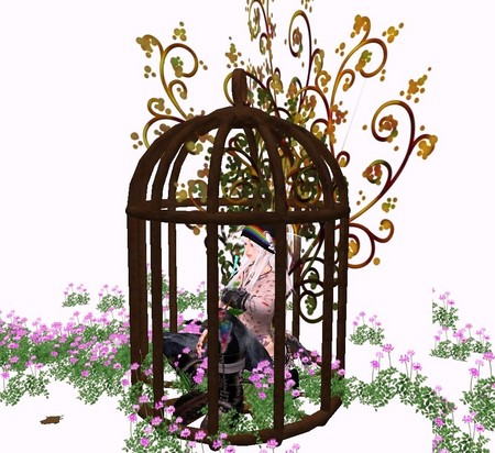 forest feast　[Cage]