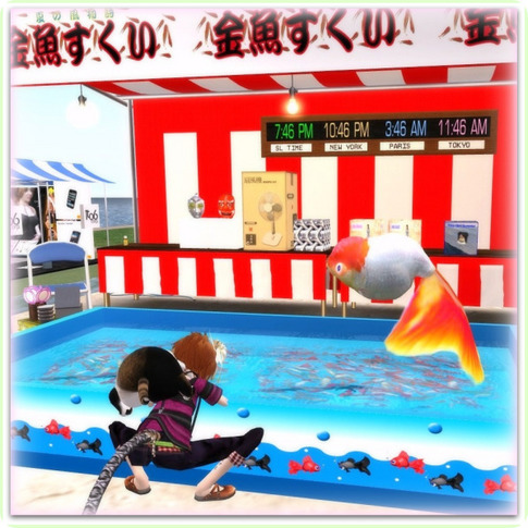 金魚すーくい☆