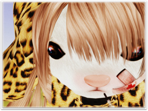 **Ray Skin***2010 Tiger*