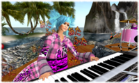 LOCOMOCO2009年サマーラストライブ