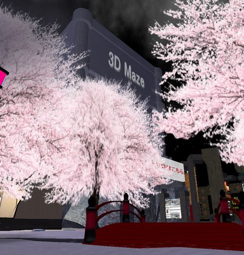 桜と花火(花火大会のおしらせ)