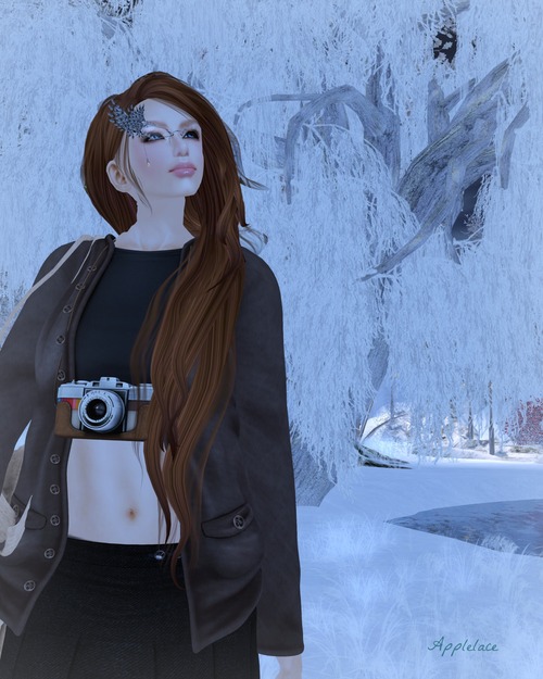 winter scene