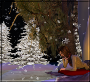 Winter Place