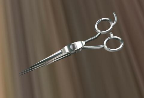 Scissors