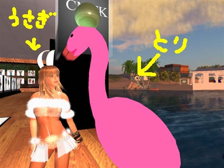 Freeで服が揃えられます　宝探し編