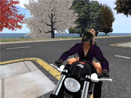 バイク三昧~☆