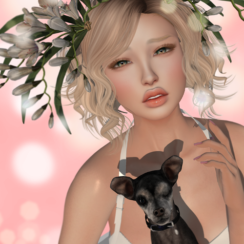 Fiorella The Chapter Four Fiorella The Chapter Four