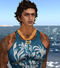 Free skin＆FFin SL Hunt　(Jomo)