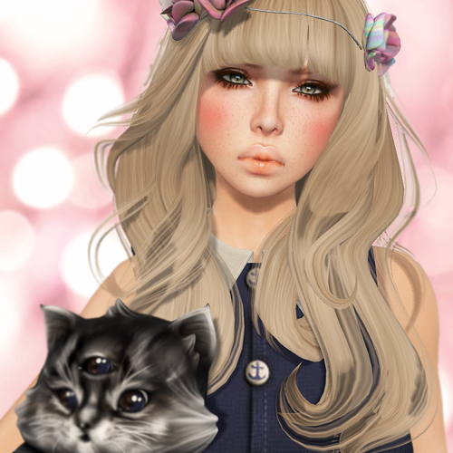 ::FAC::　　　　　　Bipolar Kitty