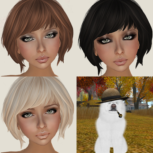 TDR  [ROCKBERRY]
