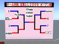 玉落とし2009オープン戦　第2弾　結果報告