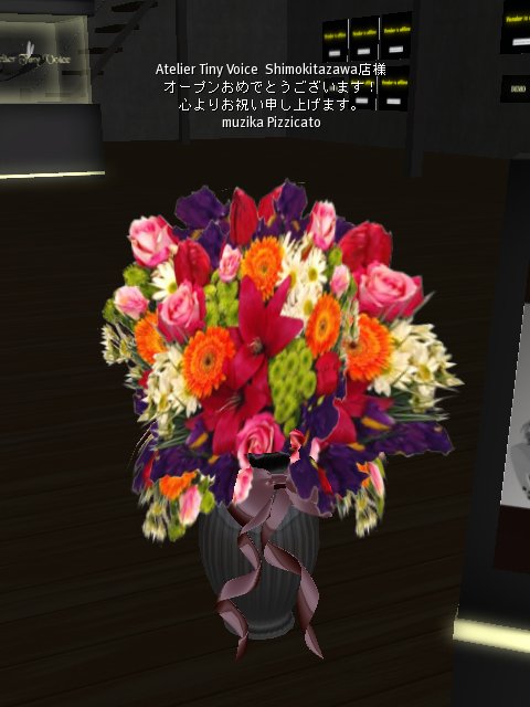 50%OFF 開店記念セール まもなくスタート