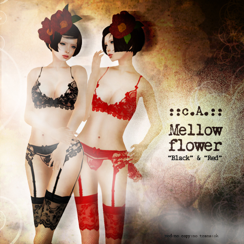 ::c.A.:: Mellow flower