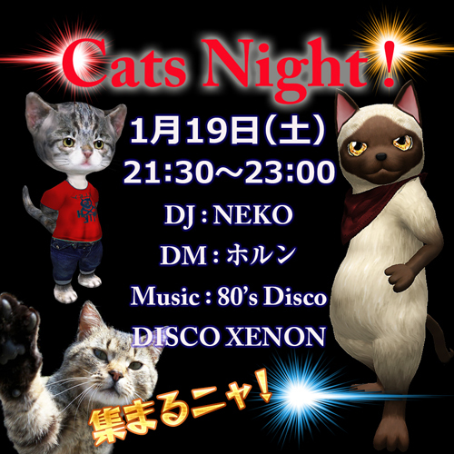 Cats Night! Cats Night!