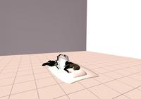 **　ぐったりこん　**