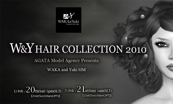 W&Y Hair COLLECTION 2010