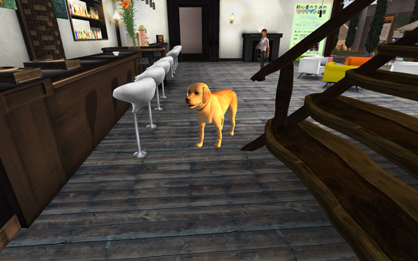 Sola Cafe早稲田店にぱふぇ登場。