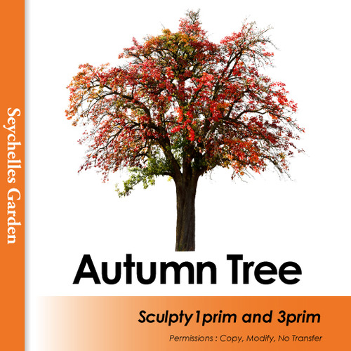 AutumnTree C-Type