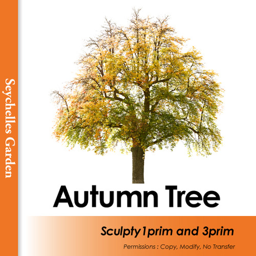 Autumn Tree D-Type