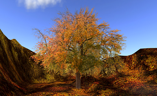 Autumn Tree A-Type