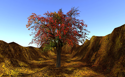 AutumnTree C-Type