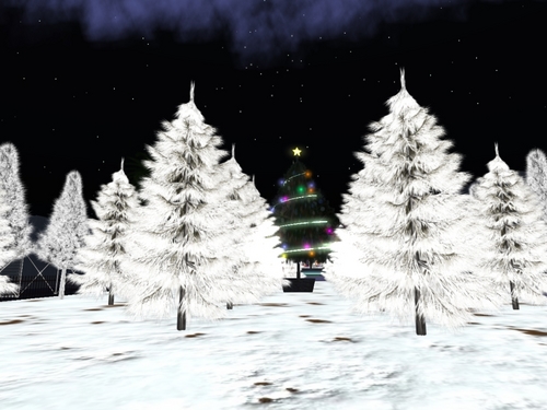 **新作** White Tree Set